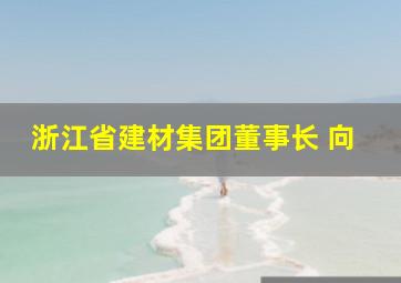 浙江省建材集团董事长 向